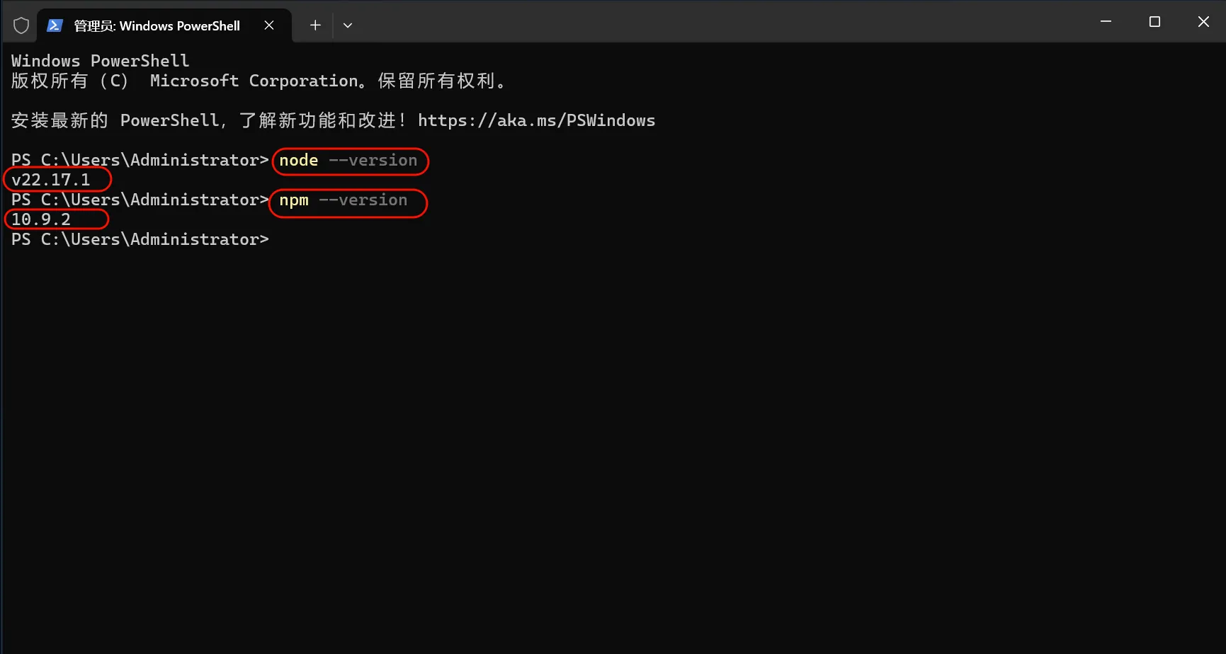 验证 Node.js 安装